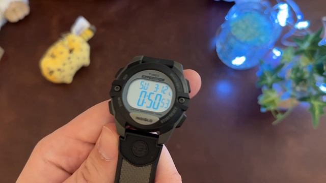 Timex Expedition 39mm Review - A Little Different!