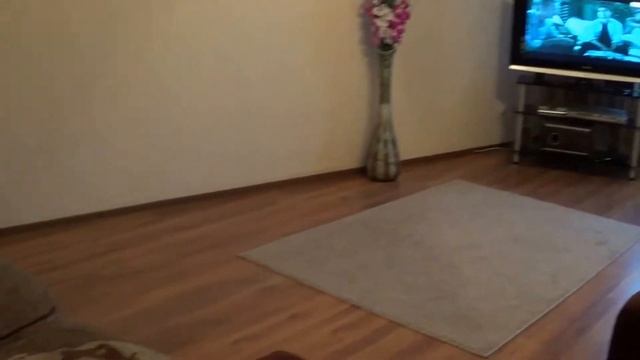 89033414743 Чистопольская 10/8 смотреть онлайн