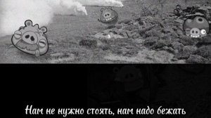 Птички летят, бомбить поросят...