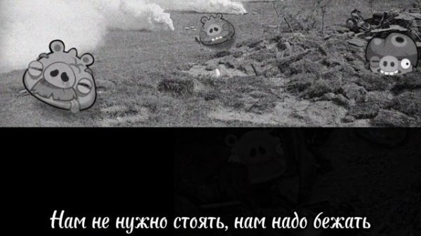 Птички летят, бомбить поросят...