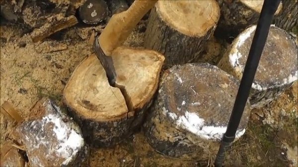 Колка вязовых дров!🌈🏡🔥🌳🪓🌳🪓🌳🪓🪓🪓