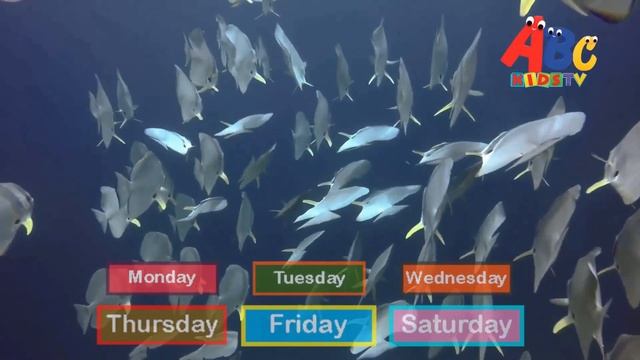 Seven Days a Week / Learn English For Kids / Kids Song / ABC Kids TV / #5 смотреть онлайн