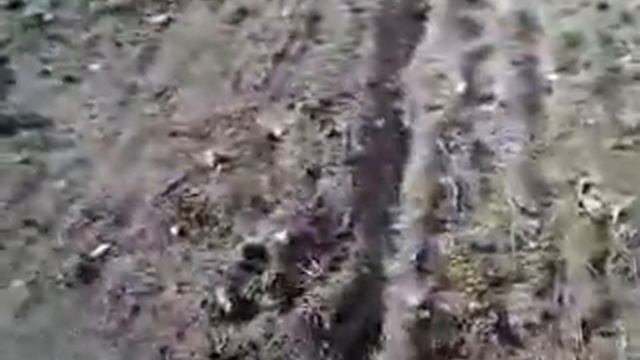 MOV005 смотреть онлайн