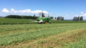 Fortschritt E303 + SAMASZ KDF 390