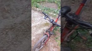 велик застрял