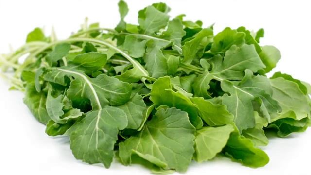 Farmers' Market Box September 19th 2019 смотреть онлайн