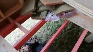 Монтаж винтовых свай внутри помещения