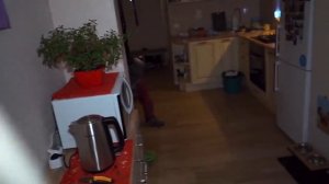 (Арх.пере.)НЕ ДАВАЙ ЗЕЛЬЕ ОБОРОТНЯ СОБАКЕ В 3:00 НОЧИ! *ОН ВЫПИЛ ЭТО ЗЕЛЬЕ И ПРЕВРАТИЛСЯ В ОБОРОТНЯ