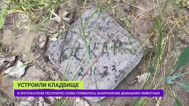 ДАЙДЖЕСТ 3.06.2024 ВЕЧЕР смотреть онлайн