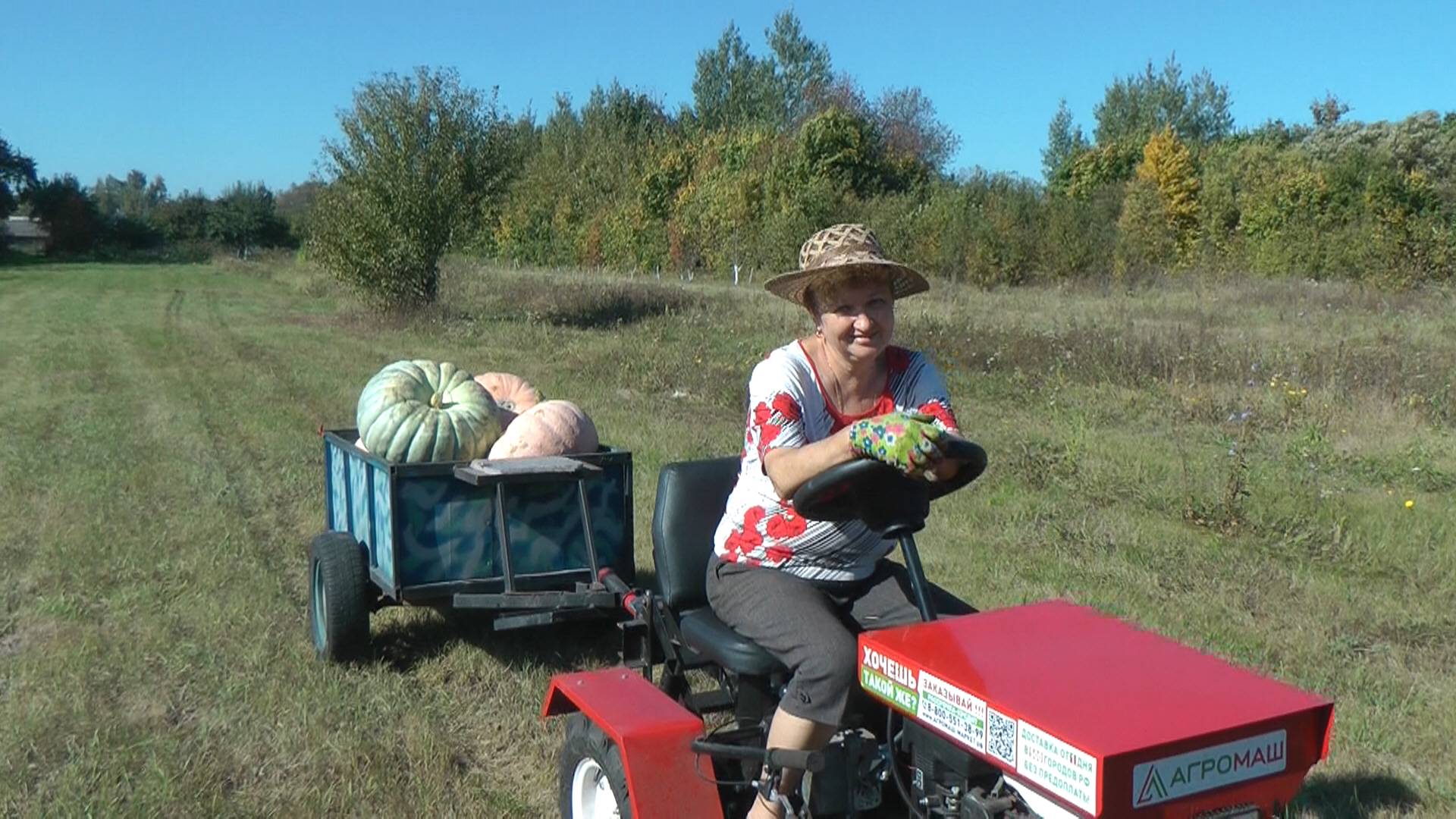 Битва за урожай и мой отпуск продолжаются.2023. смотреть онлайн