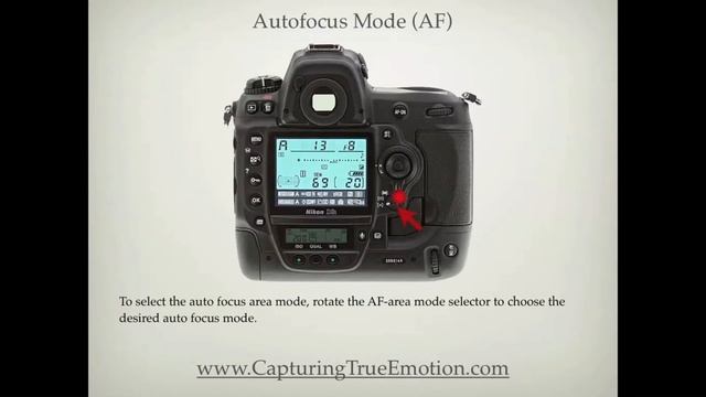 Nikon D3X Settings смотреть онлайн