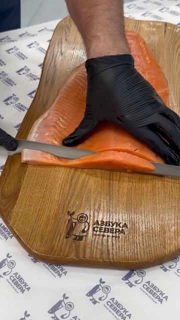 Азбука Севера