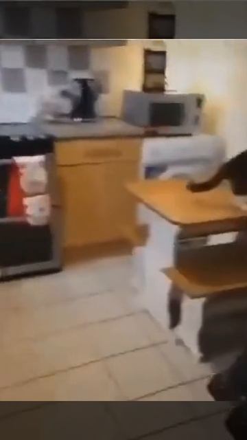 Спалился смотреть онлайн