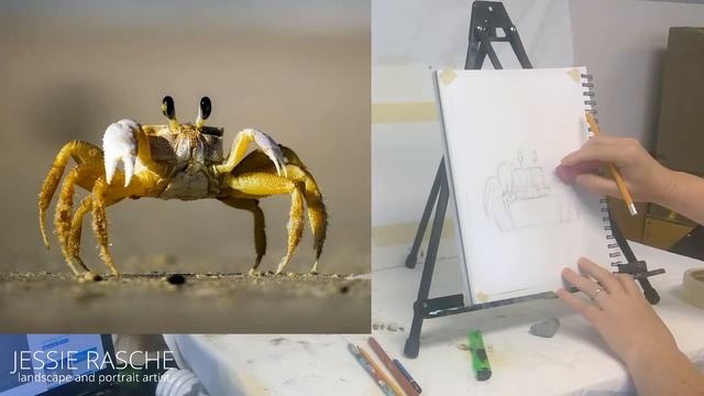 crab drawing realistic смотреть онлайн
