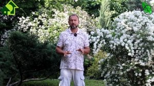 🔴ВИКТОРИЯ КАРЕЛИНА разрешила быть скотами: размер VS ум? С кем СА меряются писюном? Разбор полетов№