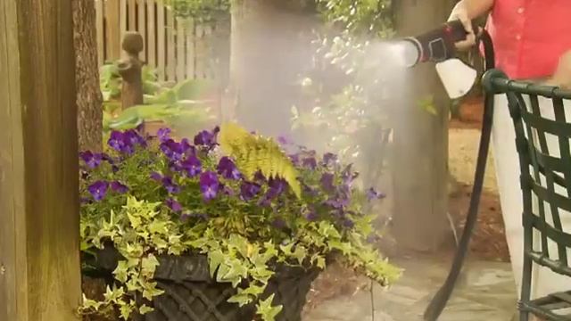 Water Delicate Flowers with the Amplifi™ Hose Powering System смотреть онлайн