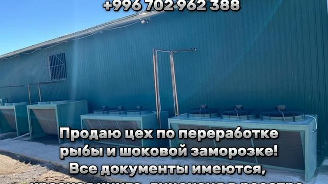 продается цех по переработке рыбы ,шоковая заморозка , морозильные камеры , участок 14 соток смотреть онлайн