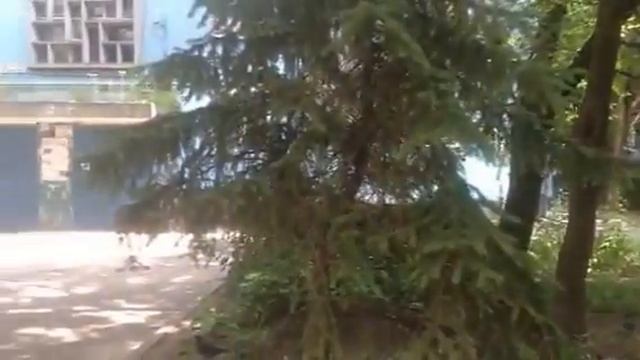 ж/м Сокол-1, д.5 смотреть онлайн