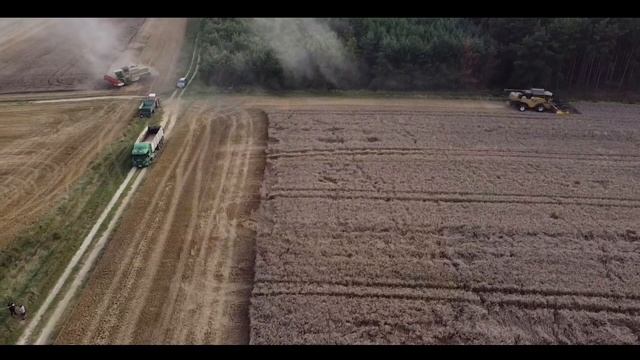 🇵🇱 LATO 2023 🌾 Żniwa pełną parą 🔥 Claas Mega 208 | NH CX 8090 | 4x Ursus 🔥 смотреть онлайн