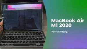 MacBook Air M1 2020: Замена Матрицы