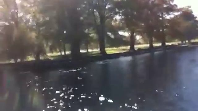 The Daily Woo - Day 130 - 11/8/2012 - Piranha 1978 ! смотреть онлайн