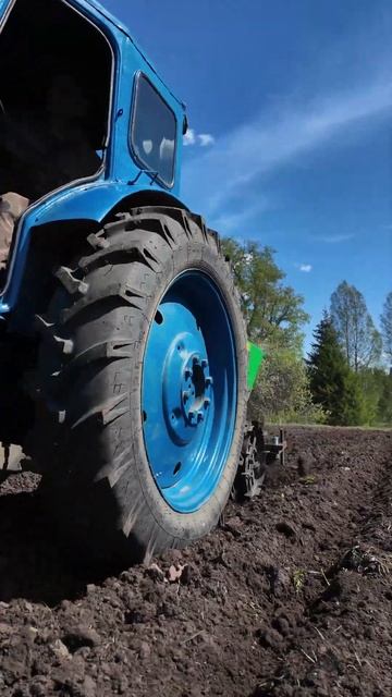 Трактор Т40. Посадка картофеля. #farming #т40 #трактор смотреть онлайн