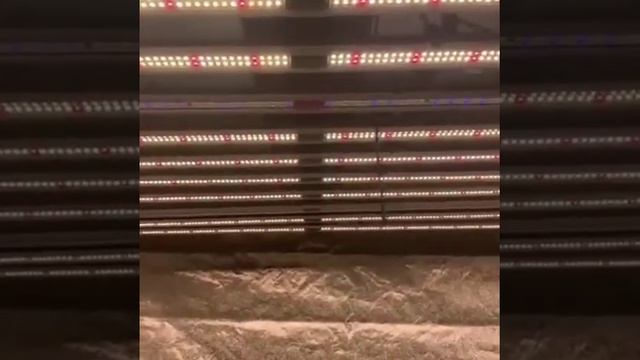 ECO Farm YS SERIES 860W UV IR Separately Control LED Grow Light With Samsung LM301B Chips смотреть онлайн