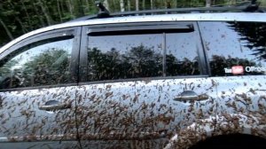 Pajero sport 2 и УАЗ Патриот, первое испытание шин Comforser cf3000.