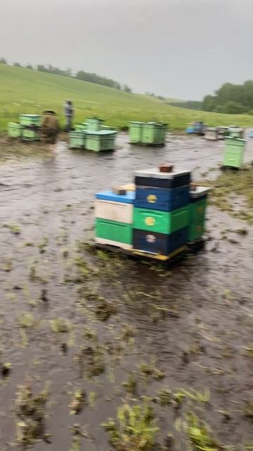 Потоп на пасеке Солондаевых! Нашу пасеку 150 пчелосемей затопило после страшного ливня! :(((