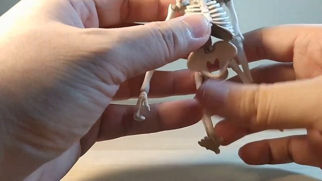 Pose Skeleton - Gorilla and Tyrannosaurus Review смотреть онлайн