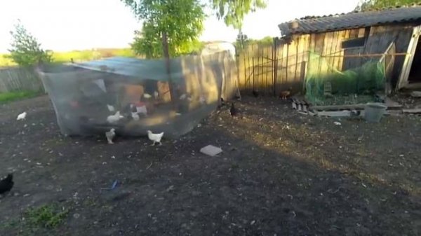 Деревенские будни/тяжелая находка