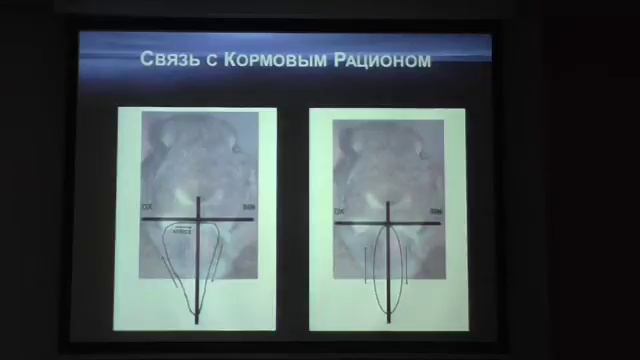 Стоматология Кроликов 3 смотреть онлайн