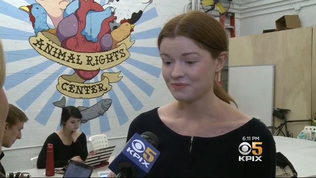 Whole Foods Takes Legal Action Against Berkeley Animal Rights Group смотреть онлайн