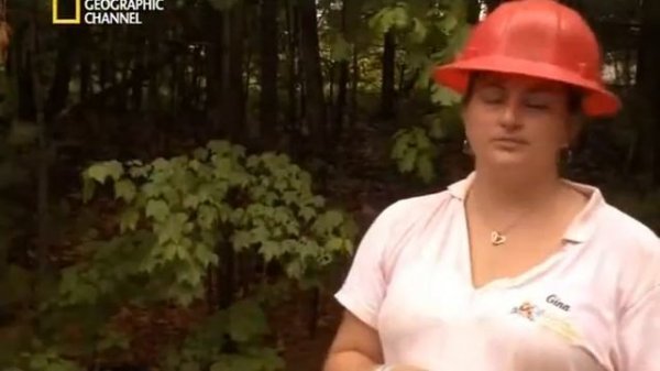 National Geographic: Делай ставки и взрывай / Bid & Destroy