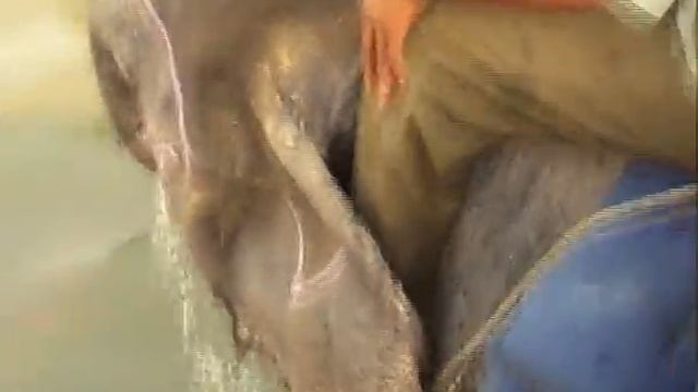 непал.avi смотреть онлайн