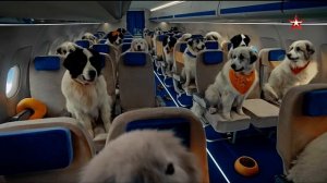 ЗВЕЗДА РЕКЛАМА + АНОНС 30.04.2024