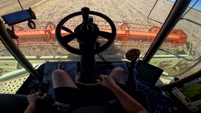 Claas Lexion 580 - Wheat Harvesting 2023 + cab view смотреть онлайн