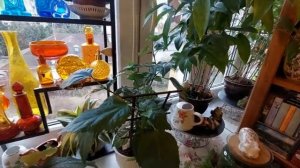 Влог__Немного_Секонда_Покупок, Хвостика и приятных воспоминаний. Рената Смирнова. 2025