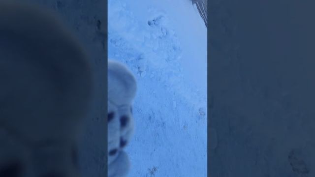 Мы в Старо Оскольском зоопарке 2 часть смотреть онлайн