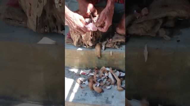 ছাগলের পা থেকে চামড়া ছাড়ানোর সহজ উপায় - Best way to remove skin from Goat leg смотреть онлайн