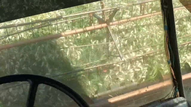 Harvest 2015 смотреть онлайн