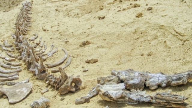 Топ 3 Находки в пустыне! смотреть онлайн