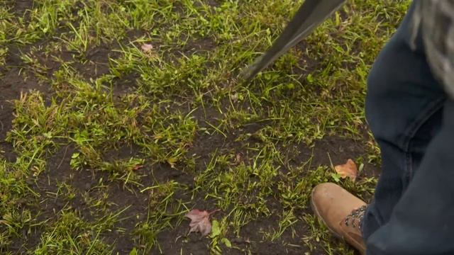 How to Revitalize a Lawn | Ask This Old House смотреть онлайн