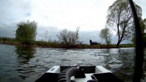 Дешевый прикормочный кораблик для рыбалки GPS, круиз, автопилот. D19