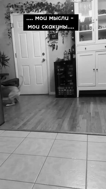 Диагноз - «Рыбы» 🙌 #shorts #shortvideo #youtubeshorts #шортс #гороскоп #рыбы смотреть онлайн