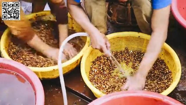 MontaVida Coffee And MontaVida Tea 5LINX