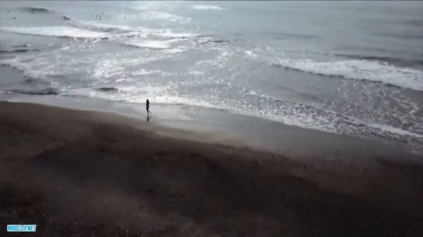 Пьяные мысли