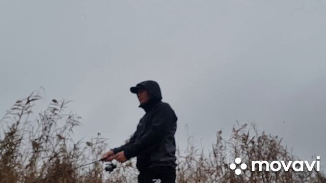 КЕЙТЕЧ РУЛИТ. рыбалка в дождь. всего 3 часа. смотреть онлайн