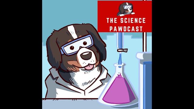 The Science Pawdcast - Scichat with Emily Calandrelli The Space Gal! смотреть онлайн
