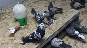 Всё в наших руках.